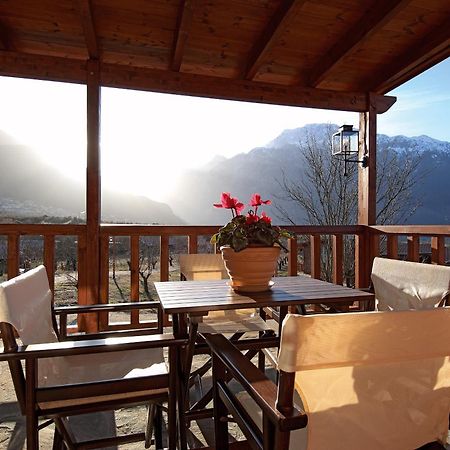 Villa Rustica Konitsa Exteriör bild