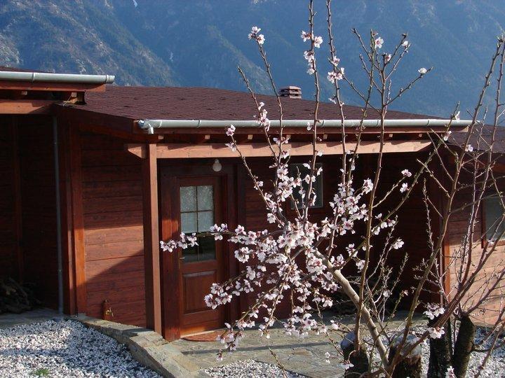 Villa Rustica Konitsa Exteriör bild