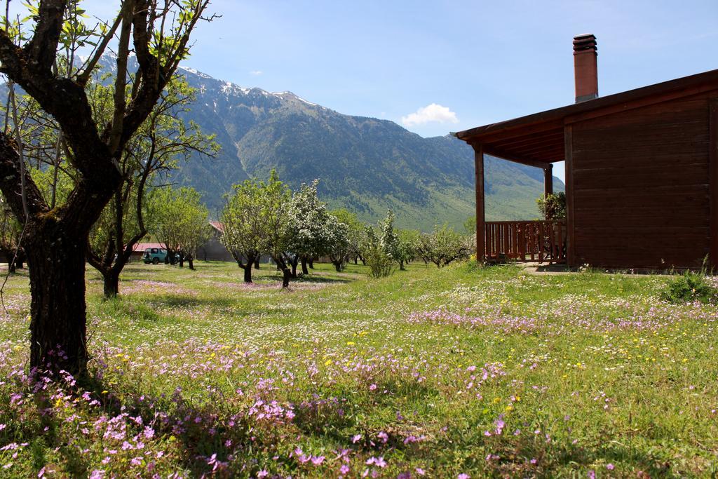 Villa Rustica Konitsa Exteriör bild
