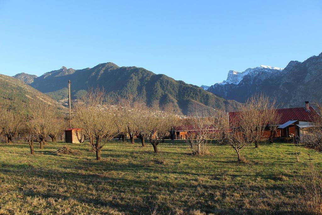 Villa Rustica Konitsa Exteriör bild