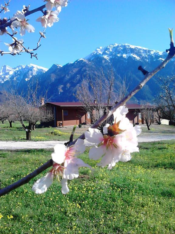 Villa Rustica Konitsa Rum bild