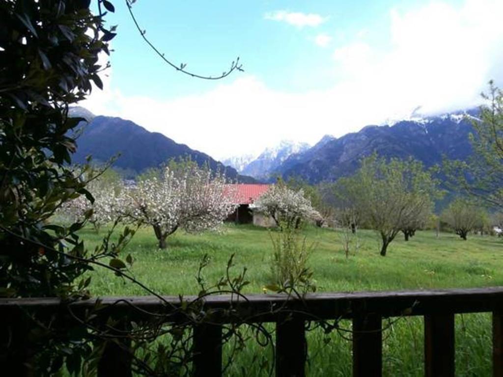 Villa Rustica Konitsa Exteriör bild
