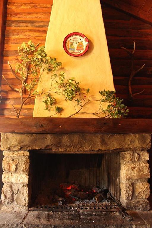 Villa Rustica Konitsa Exteriör bild