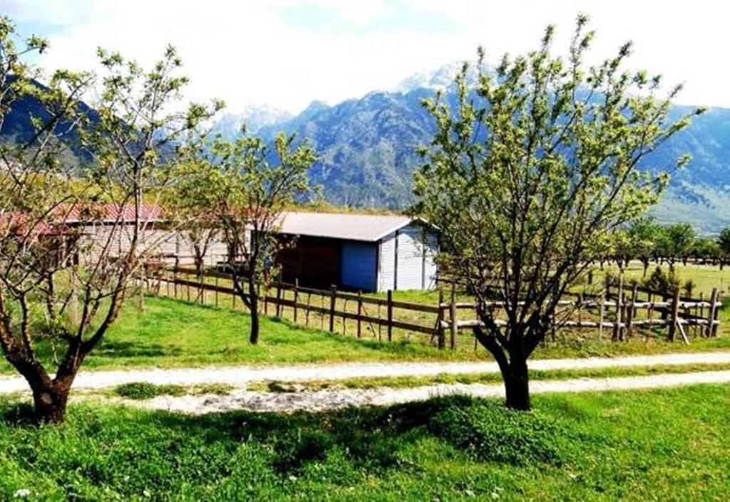Villa Rustica Konitsa Exteriör bild