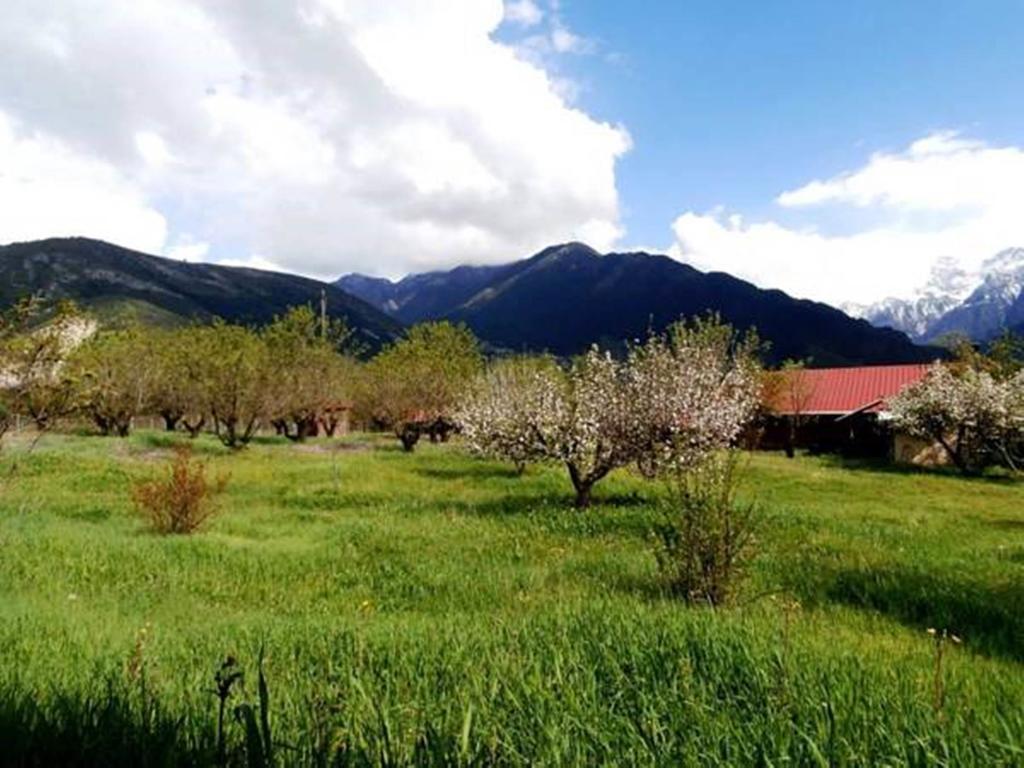 Villa Rustica Konitsa Exteriör bild