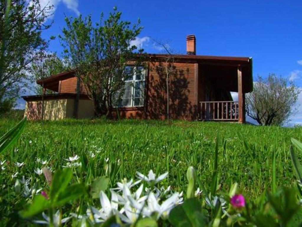Villa Rustica Konitsa Exteriör bild