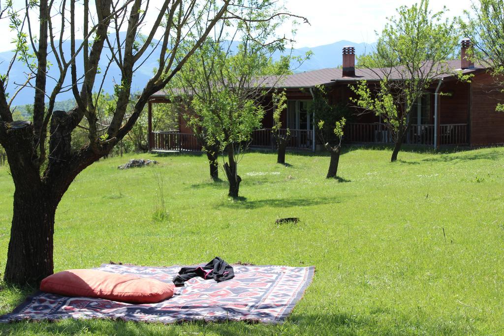 Villa Rustica Konitsa Exteriör bild